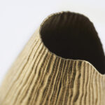 Detail of Canne Champagne Bottle Cover