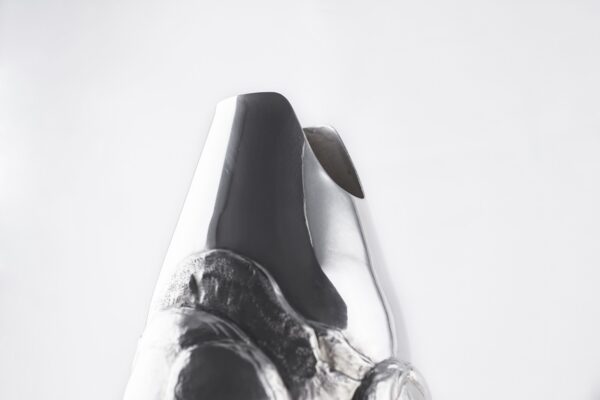 Detail of the Champagne Bottle Cover Rushamore