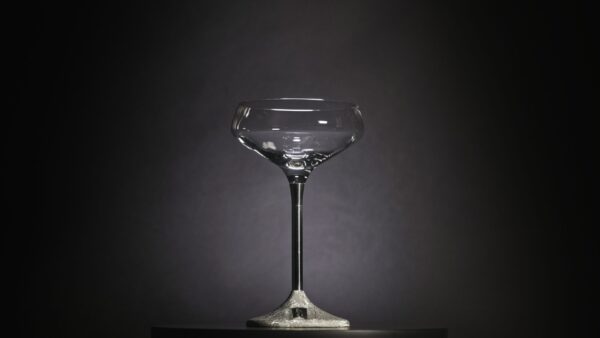 Champagne Glass Stardust diamond dark photo set