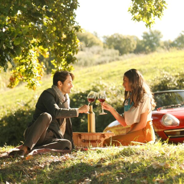 elegant scene of a couple toasting with wine glasses filled with red wine