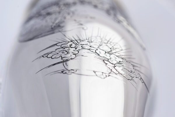 detail of the champagne bottle cover Pirate Story